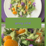 Frisée & Citrus Salad with sliced radishes and Avocado Dressing